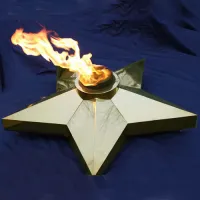 Звезда Ø 1100 - горелка ГВД 379 10 89 00 ПС (1636) в Братске